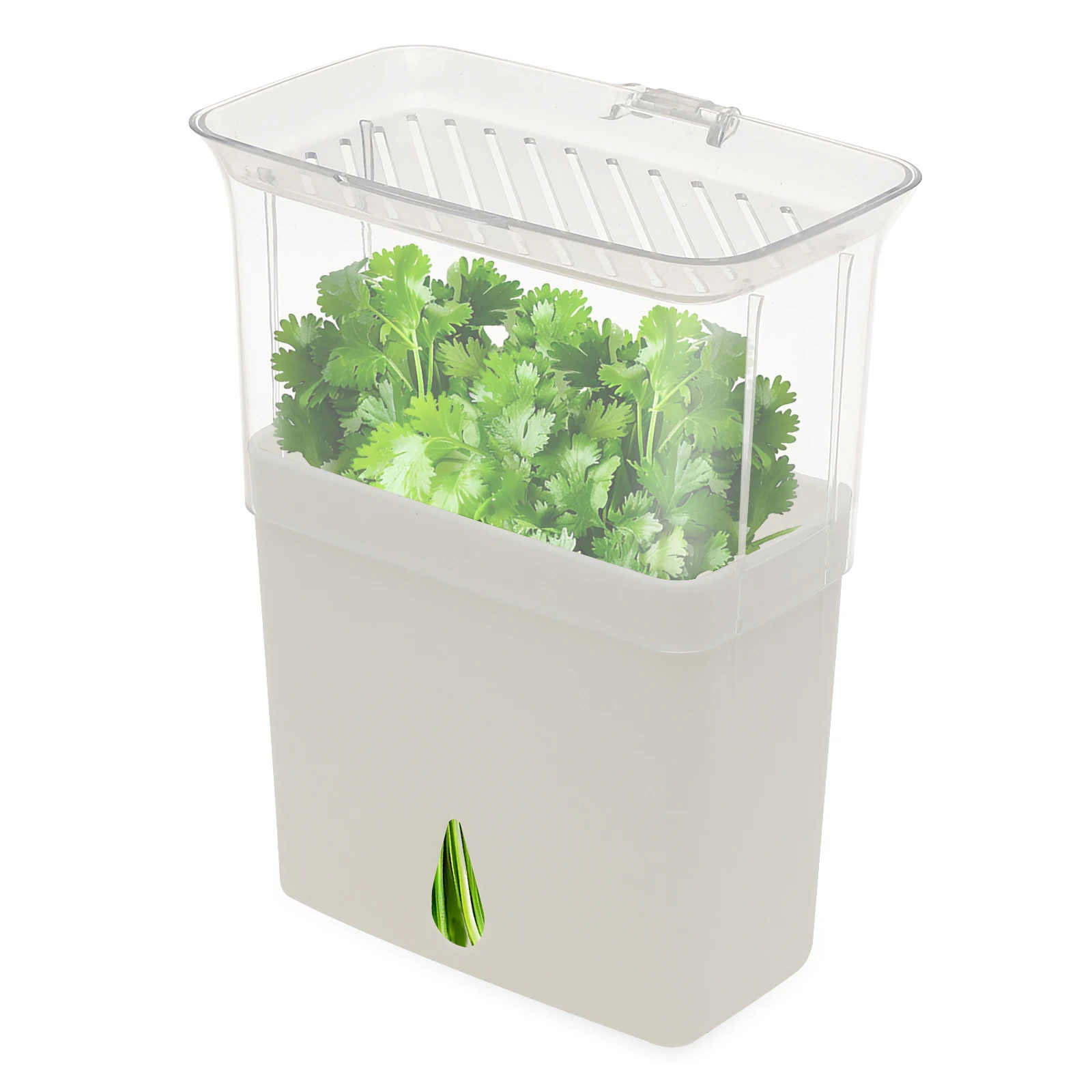 Clear Herb Saver Storage Conta - огляд і ціна Herb Keeper Container