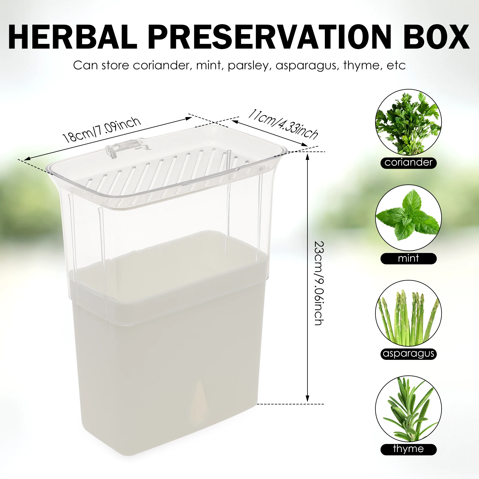 Clear Herb Saver Storage Conta - огляд і ціна Herb Keeper Container