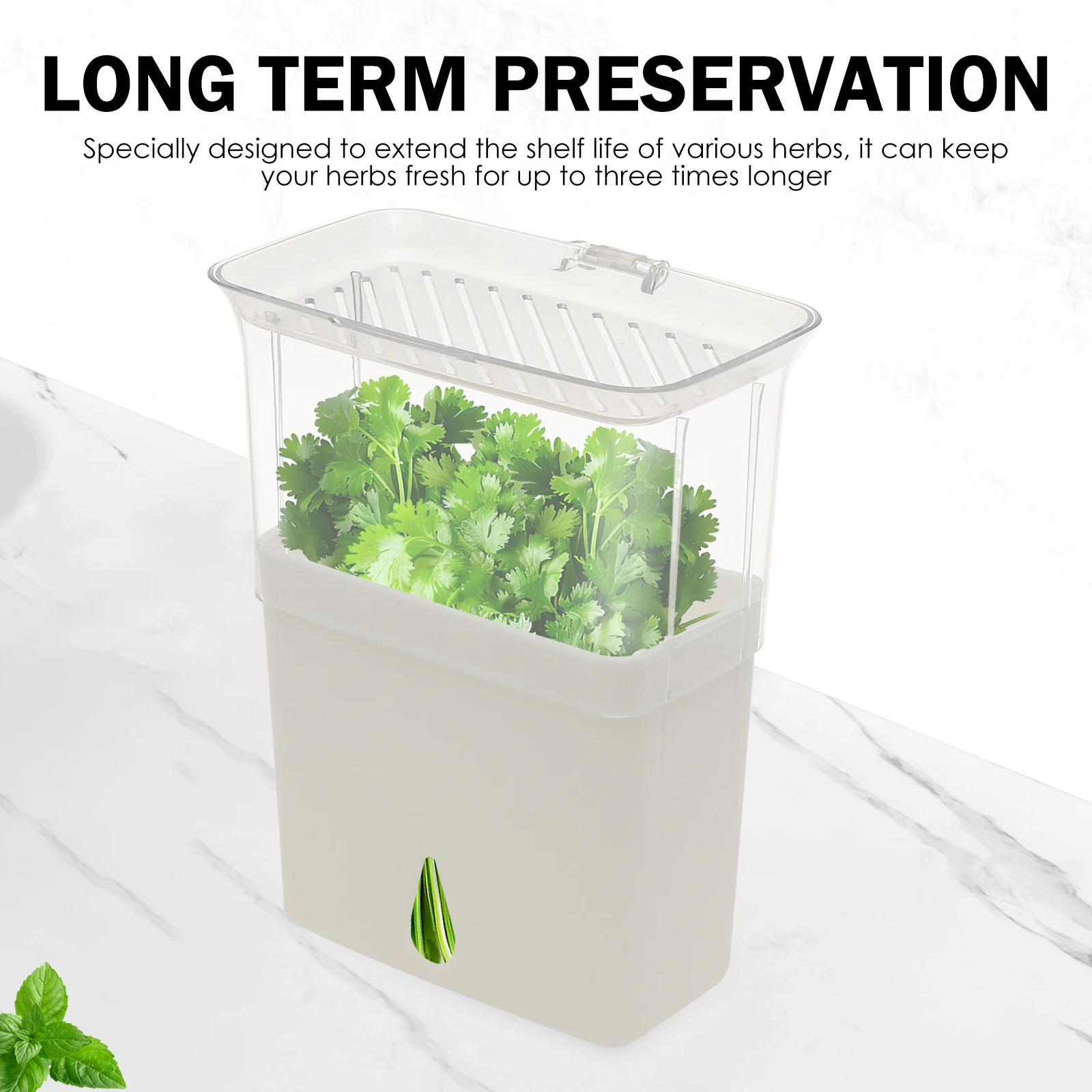 Clear Herb Saver Storage Conta - огляд і ціна Herb Keeper Container