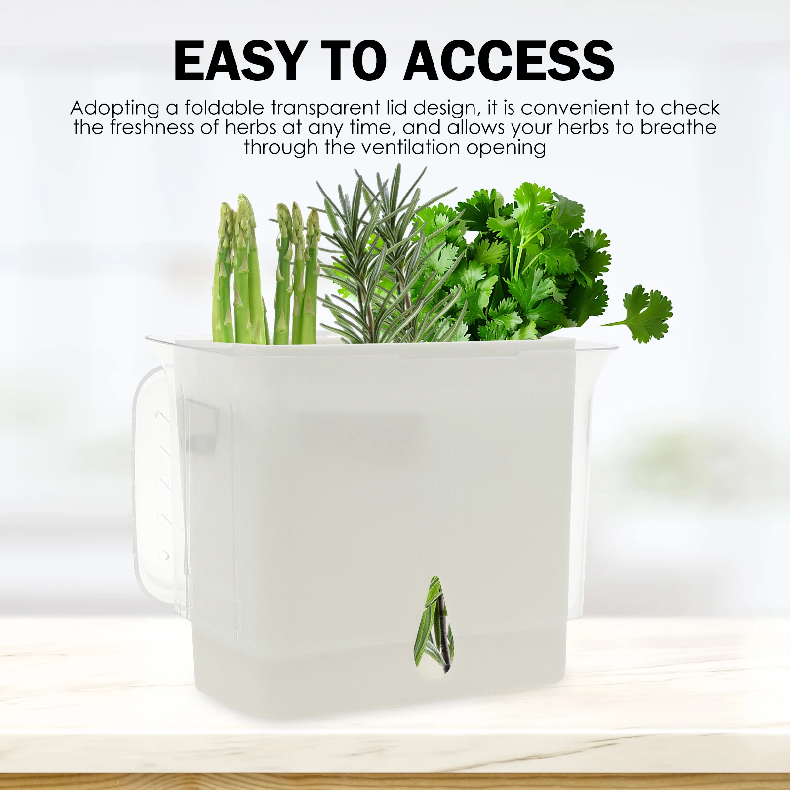Clear Herb Saver Storage Conta - огляд і ціна Herb Keeper Container